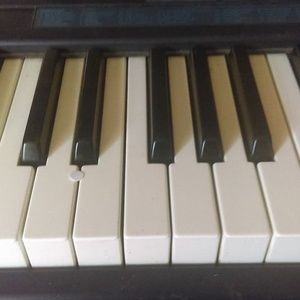 Meet your Posher, Perry